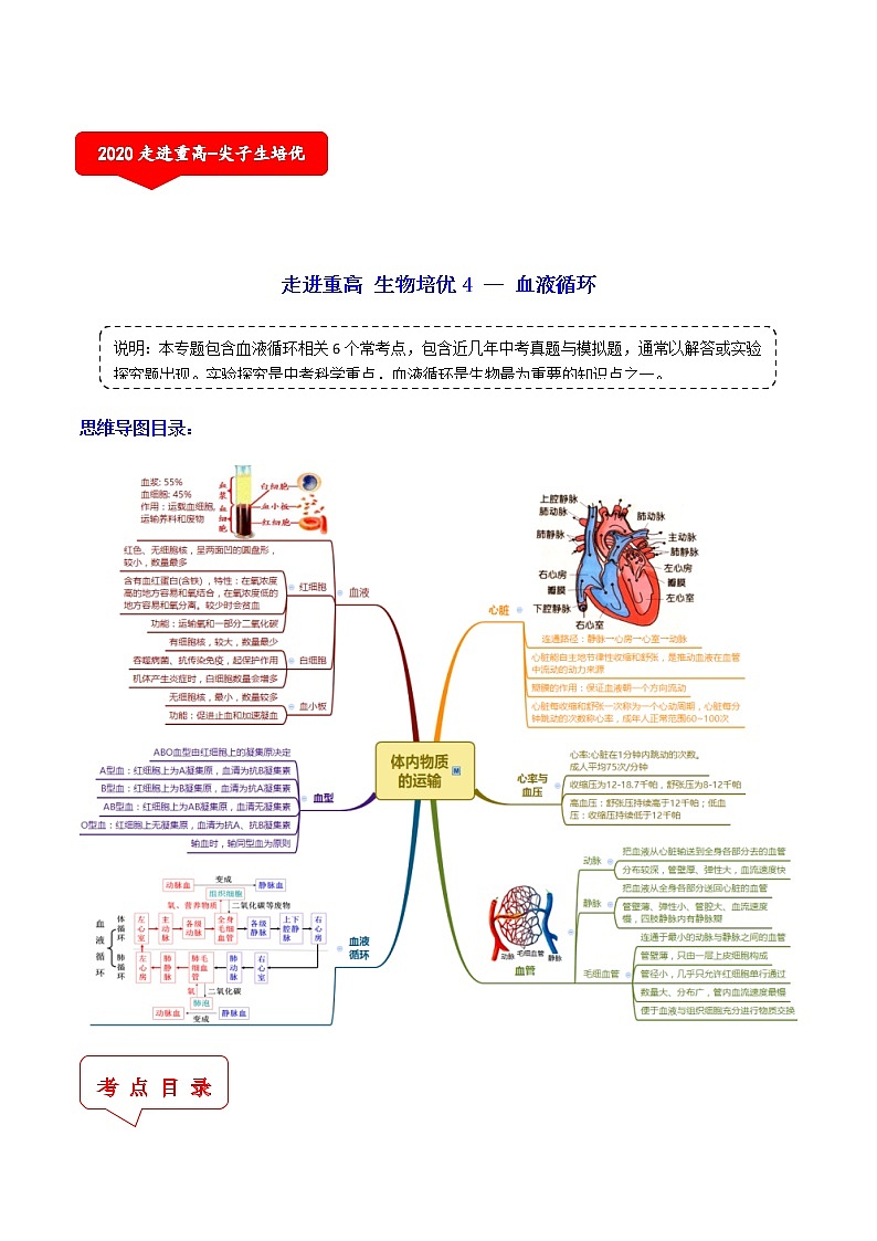 血液循环（6个考点）-2021年中考科学（浙教版）重难点、易错点复习练习（教育机构专用）01