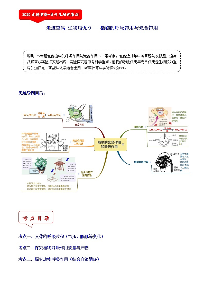 植物的呼吸作用与光合作用（6个考点）-2021年中考科学（浙教版）重难点、易错点复习练习（教育机构专用）第1页