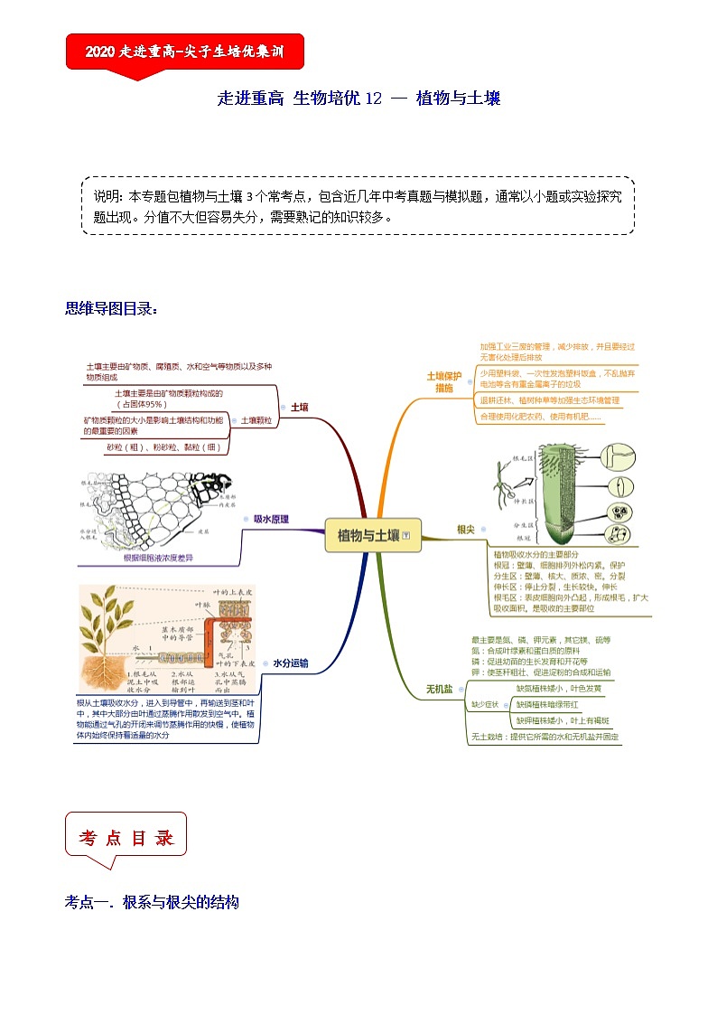植物与土壤（6个考点）-2021年中考科学（浙教版）重难点、易错点复习练习（教育机构专用）01