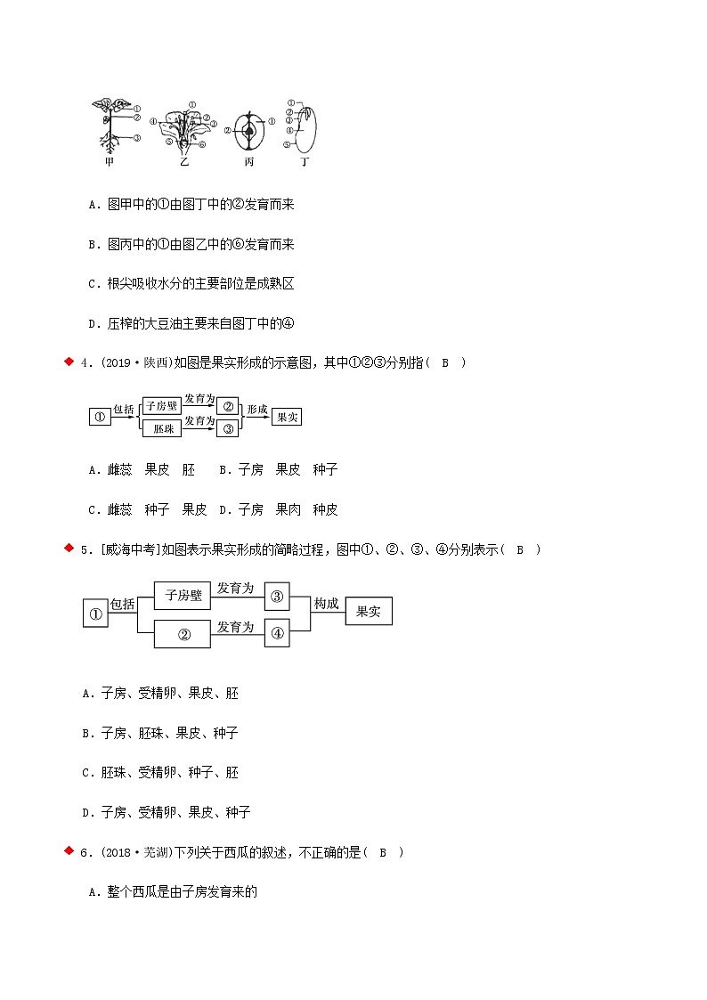 植物有性生殖与无性生殖（4个考点）-2021年中考科学（浙教版）重难点、易错点复习练习（教育机构专用）第3页