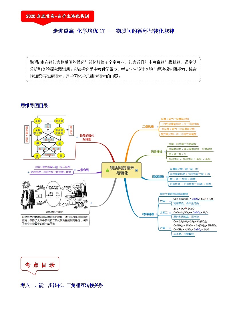 物质的循环与转化规律（6个考点）-2021年中考科学（浙教版）重难点、易错点复习练习（教育机构专用）01