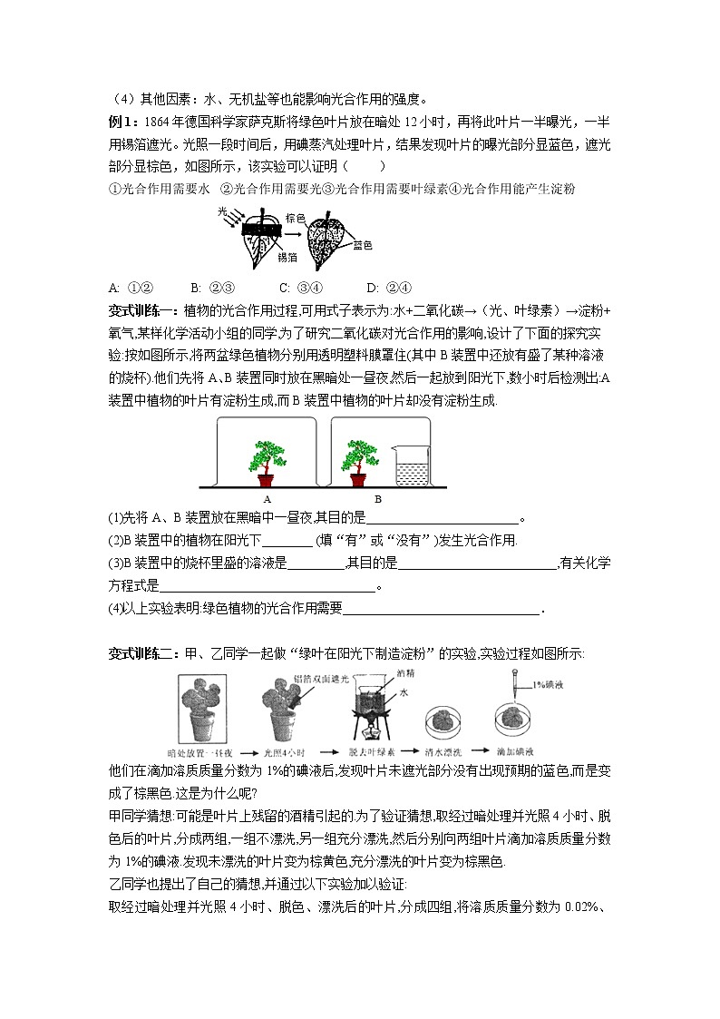 第三章 第6课时 光合作用-浙教版八年级下册科学讲义（教育机构）02