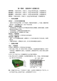 科学第5节 植物的叶与蒸腾作用课时练习