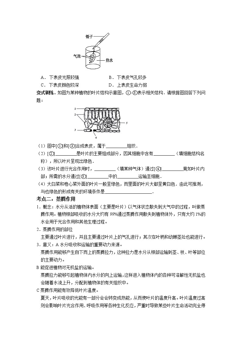 第四章 植物的叶与蒸腾作用-浙教版八年级下册科学讲义（教育机构）02