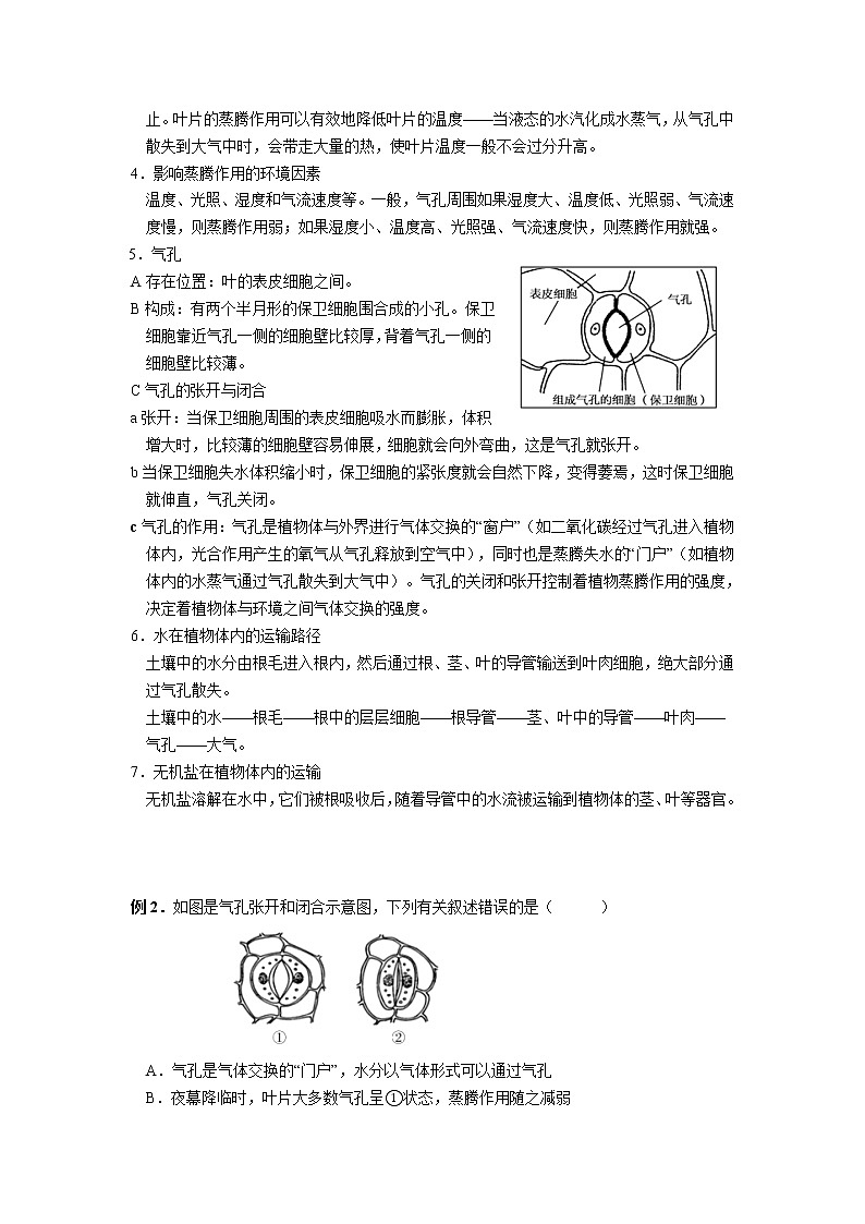 第四章 植物的叶与蒸腾作用-浙教版八年级下册科学讲义（教育机构）03