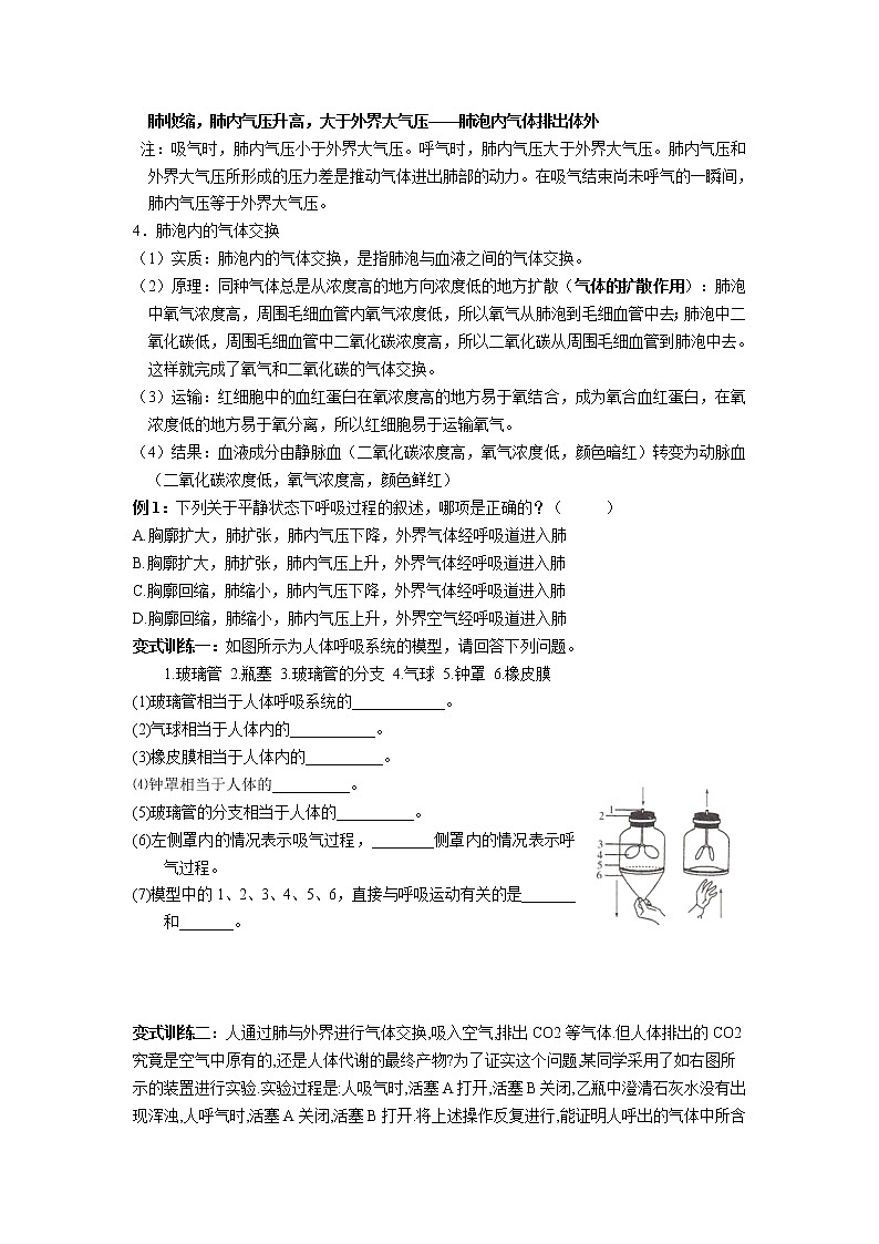第三章 第5课时 生物的呼吸和呼吸作用-浙教版八年级下册科学讲义（教育机构专用）第2页