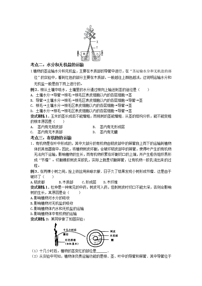 第四章 植物的茎与物质运输-浙教版八年级下册科学讲义（教育机构）03