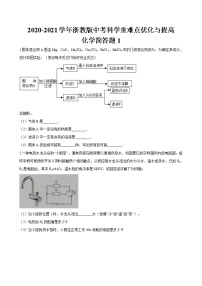 浙教版中考科学尖子生培优训练化学简答篇1（含答案）