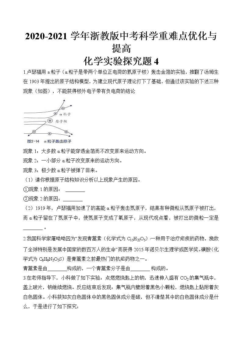 浙教版中考科学尖子生培优训练化学实验探究篇4（含答案）第1页