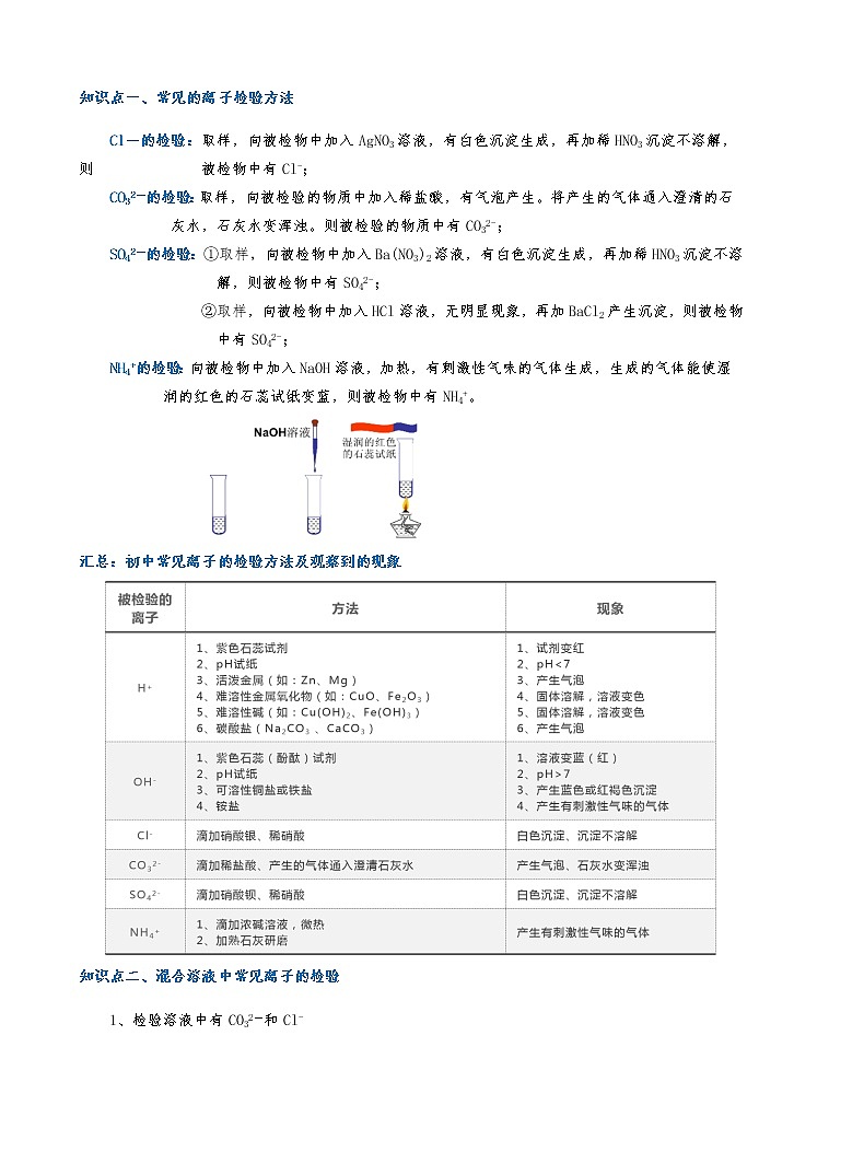 11.离子鉴定_2021年浙教版科学准九年级上学期暑假讲义(word,无答案)第2页