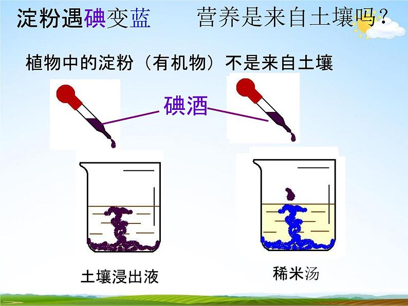 浙教版八年级科学下册《光合作用2》教学课件PPT初二优秀公开课第4页