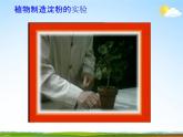 浙教版八年级科学下册《光合作用2》教学课件PPT初二优秀公开课