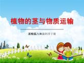 浙教版八年级科学下册《植物的茎与物质运输》教学课件PPT初二优秀公开课