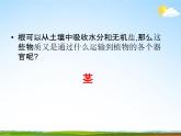 浙教版八年级科学下册《植物的茎与物质运输》教学课件PPT初二优秀公开课