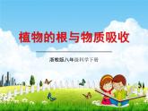 浙教版八年级科学下册《植物的根与物质吸收2》教学课件PPT初二优秀公开课