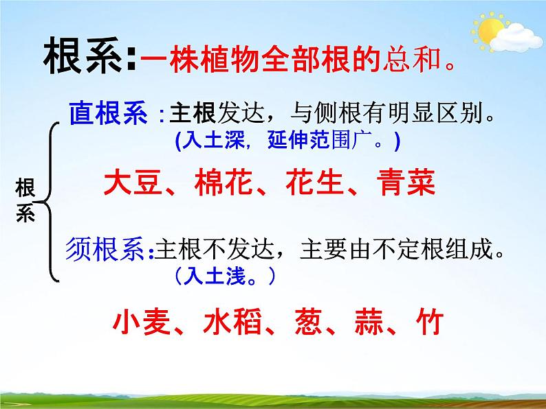 浙教版八年级科学下册《植物的根与物质吸收2》教学课件PPT初二优秀公开课第6页