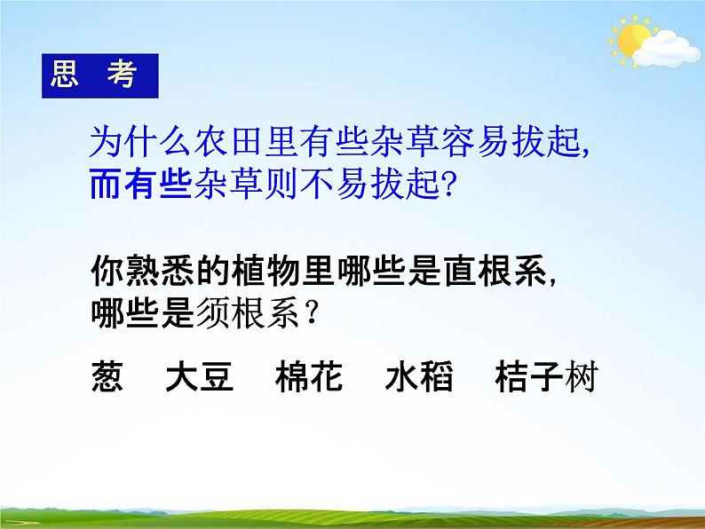 浙教版八年级科学下册《植物的根与物质吸收2》教学课件PPT初二优秀公开课第7页