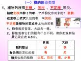 浙教版八年级科学下册《植物的根与物质吸收》教学课件PPT初二优秀公开课