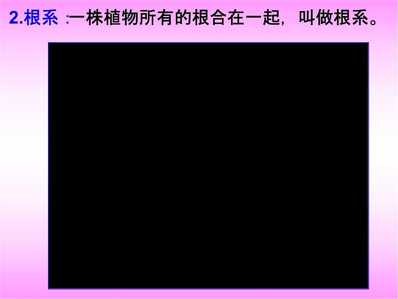 浙教版八年级科学下册《植物的根与物质吸收》教学课件PPT初二优秀公开课第5页