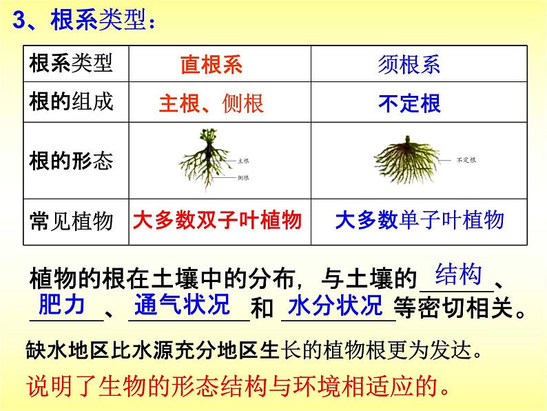 浙教版八年级科学下册《植物的根与物质吸收》教学课件PPT初二优秀公开课第6页