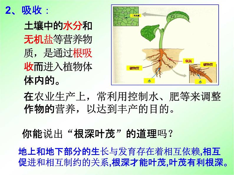 浙教版八年级科学下册《植物的根与物质吸收》教学课件PPT初二优秀公开课第8页