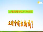浙教版八年级科学下册《土壤的成分2》教学课件PPT初二优秀公开课