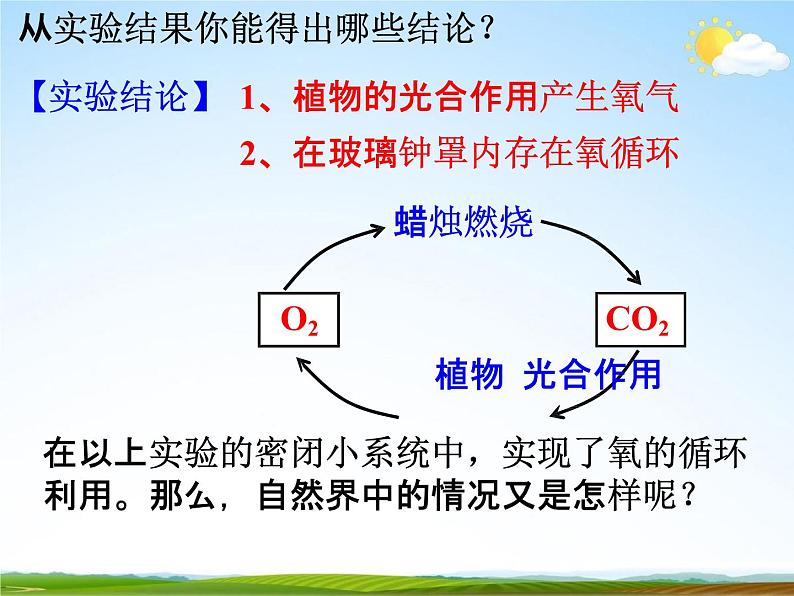 浙教版八年级科学下册《自然界中的氧循环和碳循环》教学课件PPT初二优秀公开课第5页