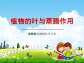 浙教版八年级科学下册《植物的叶与蒸腾作用2》教学课件PPT初二优秀公开课