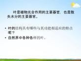 浙教版八年级科学下册《植物的叶与蒸腾作用2》教学课件PPT初二优秀公开课