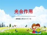 浙教版八年级科学下册《光合作用》教学课件PPT初二优秀公开课