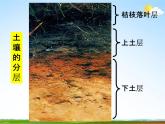 浙教版八年级科学下册《土壤的成分》教学课件PPT初二优秀公开课