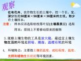 浙教版八年级科学下册《土壤的成分》教学课件PPT初二优秀公开课