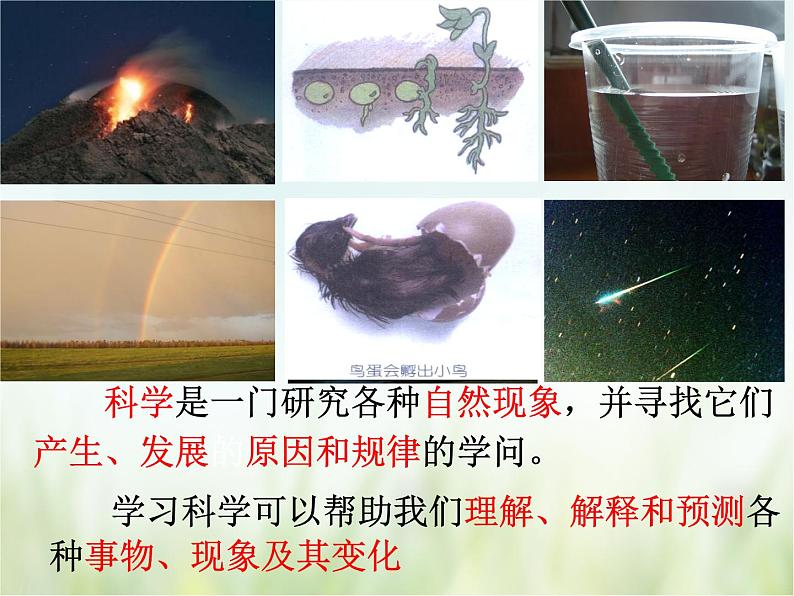 浙教版科学 七年级上册 第1章 走进科学实验室 第1节 科学并不神秘（课件+教案+试题）07