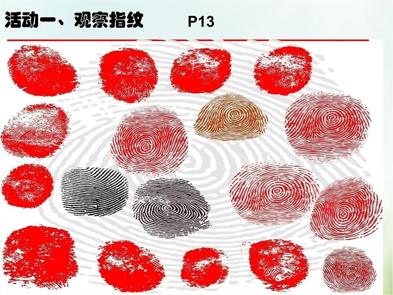 浙教版科学 七年级上册 第1章 走进科学实验室 第3节 科学观察（课件+教案+试题）04