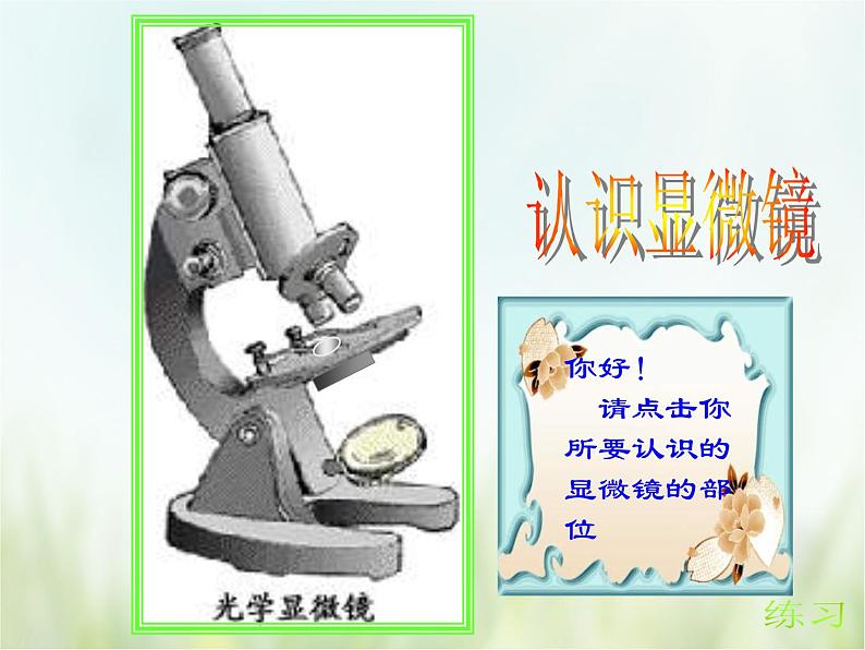 浙教版科学 七年级上册 第2章 观察生物 第2节 细胞（课件+教案+试题）03