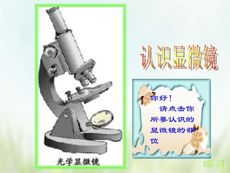 浙教版科学 七年级上册 第2章 观察生物 第2节 细胞（课件+教案+试题）03