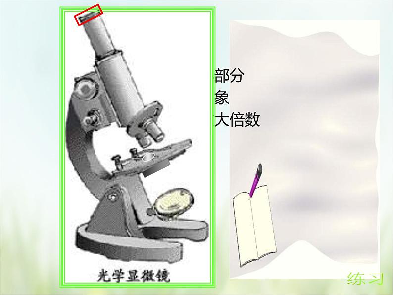 浙教版科学 七年级上册 第2章 观察生物 第2节 细胞（课件+教案+试题）04
