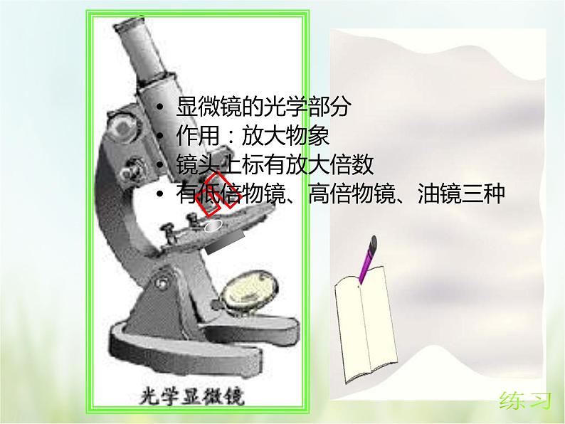 浙教版科学 七年级上册 第2章 观察生物 第2节 细胞（课件+教案+试题）05