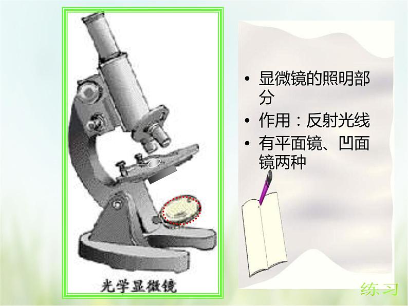 浙教版科学 七年级上册 第2章 观察生物 第2节 细胞（课件+教案+试题）07