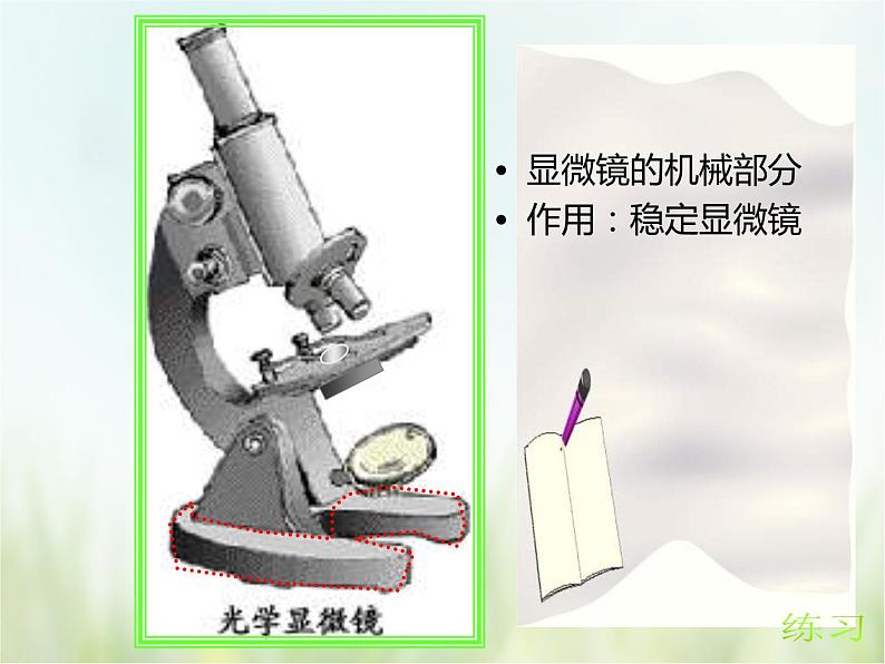 浙教版科学 七年级上册 第2章 观察生物 第2节 细胞（课件+教案+试题）08