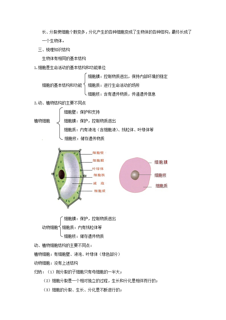 浙教版科学 七年级上册 第2章 观察生物 第3节 生物体的结构层次（课件+教案+试题）02