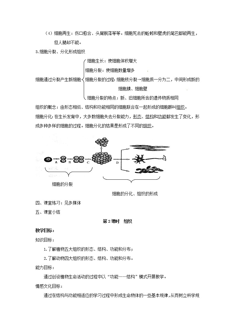 浙教版科学 七年级上册 第2章 观察生物 第3节 生物体的结构层次（课件+教案+试题）03