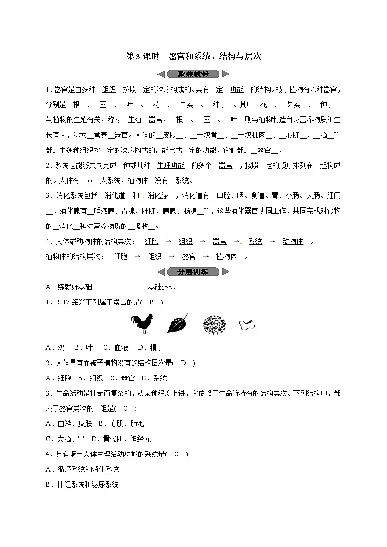浙教版科学 七年级上册 第2章 观察生物 第3节 生物体的结构层次（课件+教案+试题）01