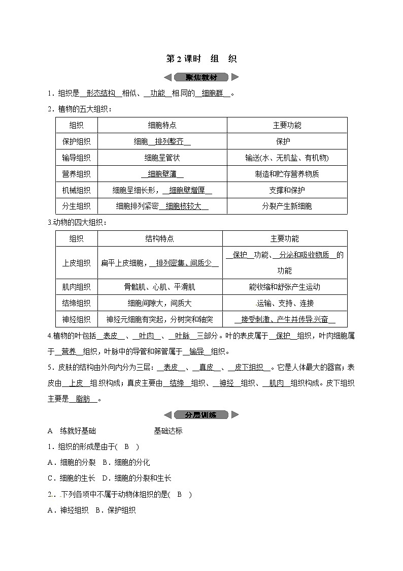 浙教版科学 七年级上册 第2章 观察生物 第3节 生物体的结构层次（课件+教案+试题）01