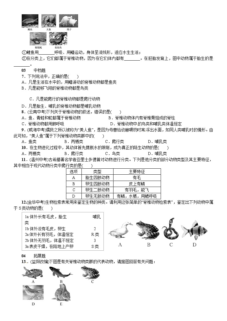 浙教版科学 七年级上册 第2章 观察生物 第4节 常见的动物（课件+教案+试题）02