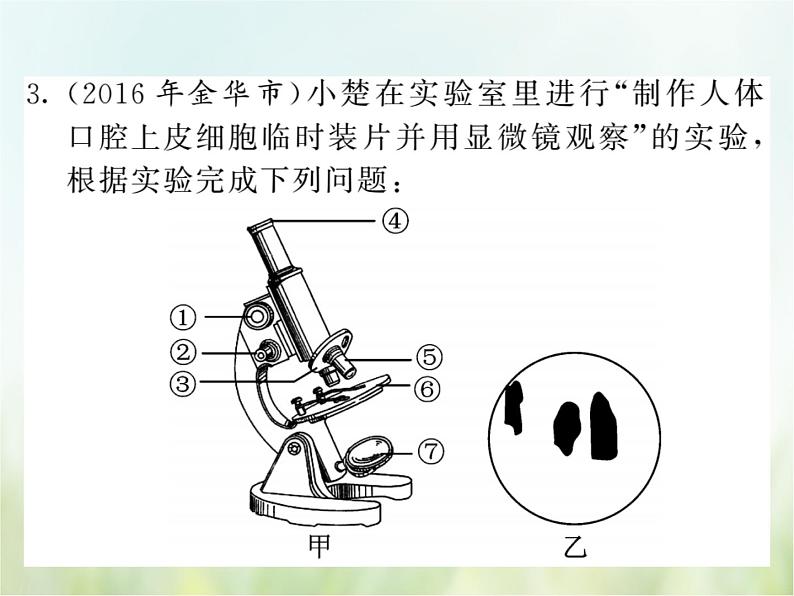 浙教版科学 七年级上册 第2章 复习（课件+教案+试题）04