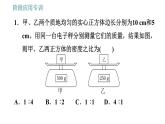 教科版八年级上册物理习题课件 第6章 阶段应用专训 密度公式的综合应用