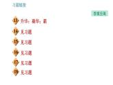 教科版八年級上冊物理習(xí)題課件 第5章 全章熱門考點整合專訓(xùn)