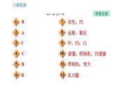 教科版八年级上册物理习题课件 期末提分练案 第4讲 第1课时  达标训练