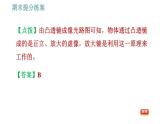 教科版八年级上册物理习题课件 期末提分练案 第4讲 第1课时  达标训练